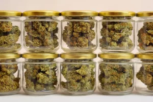 How to Properly Store Weed to Prevent Expiration