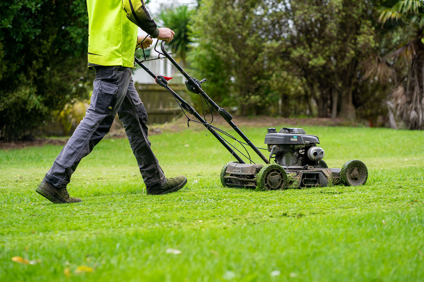 overseeding and aeration