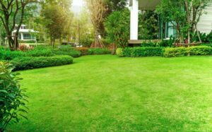 Hiring lawn care services will help you to have an all-year perfect lawn