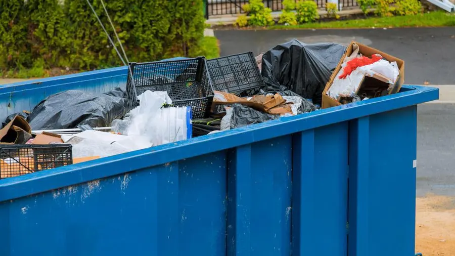 Pool Removal and Cleanup